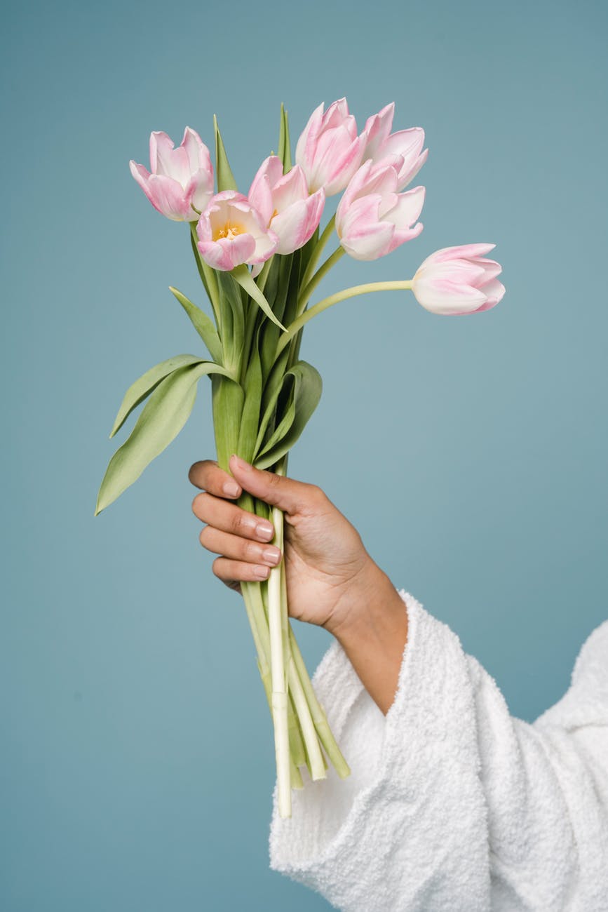 female showing bouquet of fresh tulips against blue background