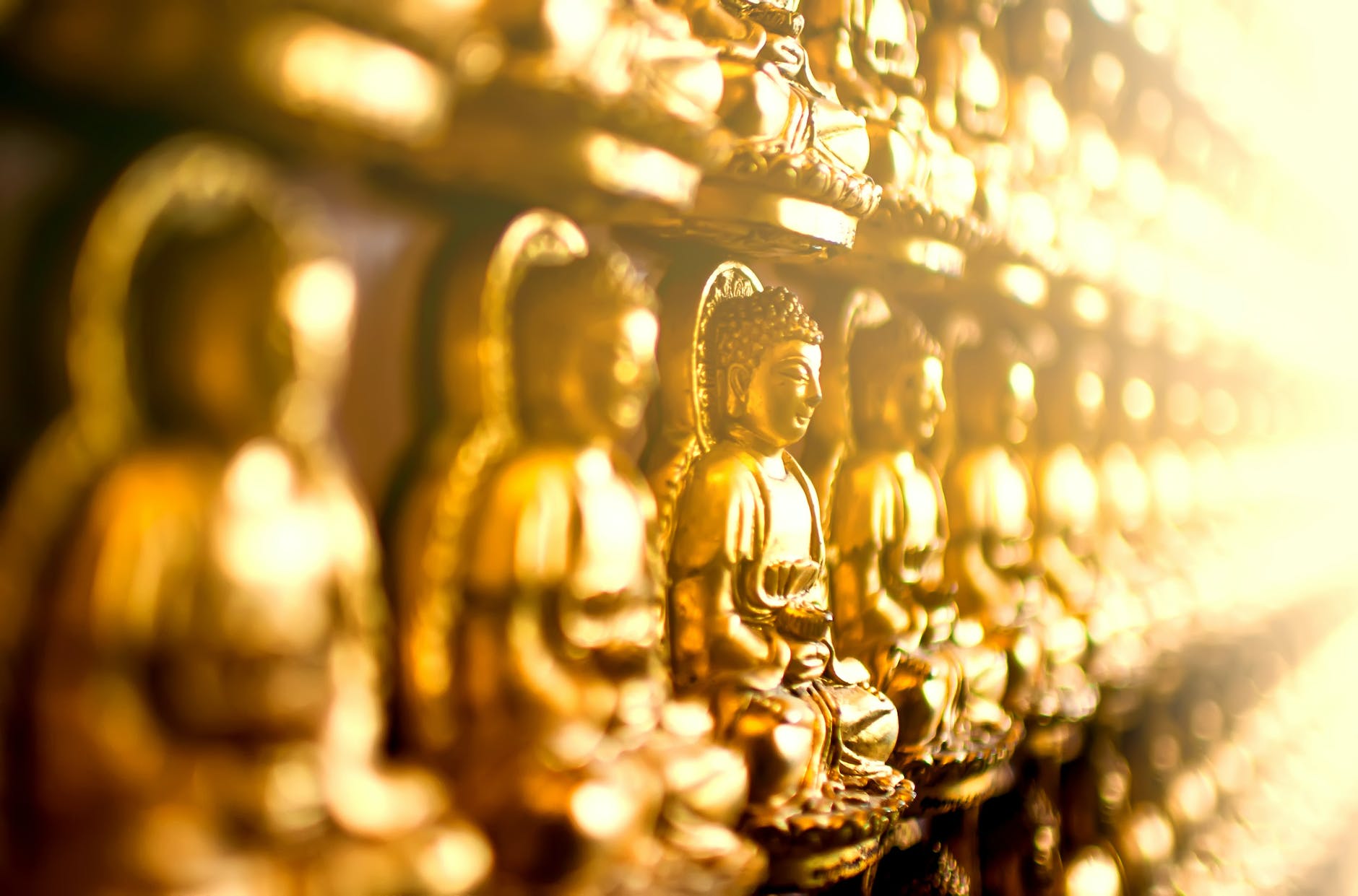 gold buddha figurine lot